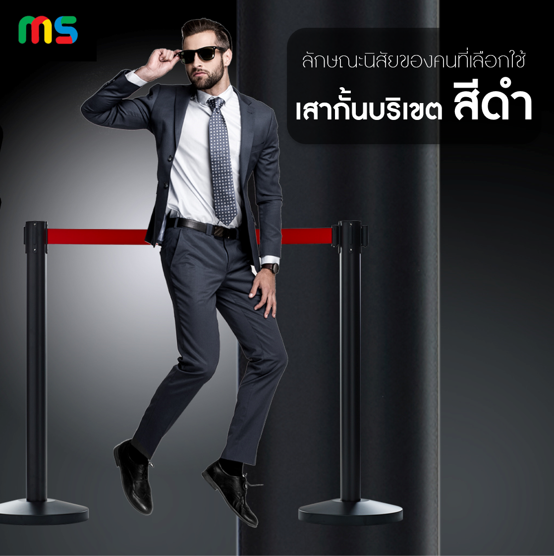 ลักษณะนิสัยของคนที่ “เลือกใช้เสากั้นบริเขตสีดำ”